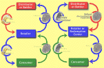 bottle bill flowchart