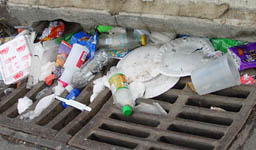 Plastic plates, bottles, and other litter piled on a sewer grate