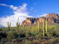 Arizona's Superstition Mountains