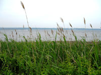 Narragansett Bay in Rhode Island