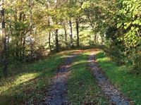 A wooded trail in West Virginia