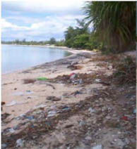 A lot of litter at Stewart Causeway