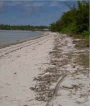 a little litter at Stewart Causeway