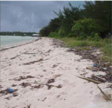 Less litter at Stewart Causeway